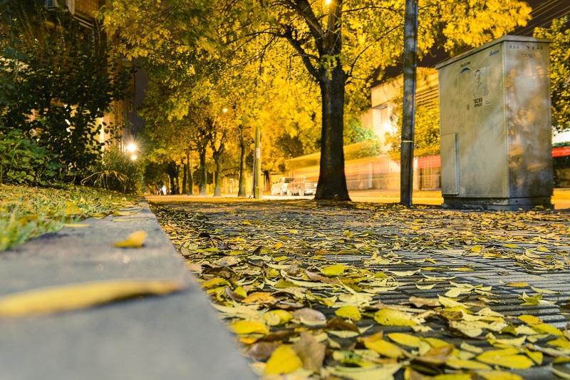 Street, avenue, outdoors, color Image, reflection, footpath, gold Colored, beauty In Nature, change, vibrant Color, landscape, road, nature, the way forward