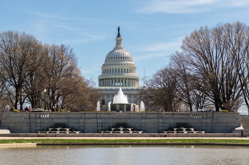 tree, architecture, city, dome, power, outdoors, canal, concrete, day, water, washington dc, politics, building exterior, tourism, 5K, nature, bare tree