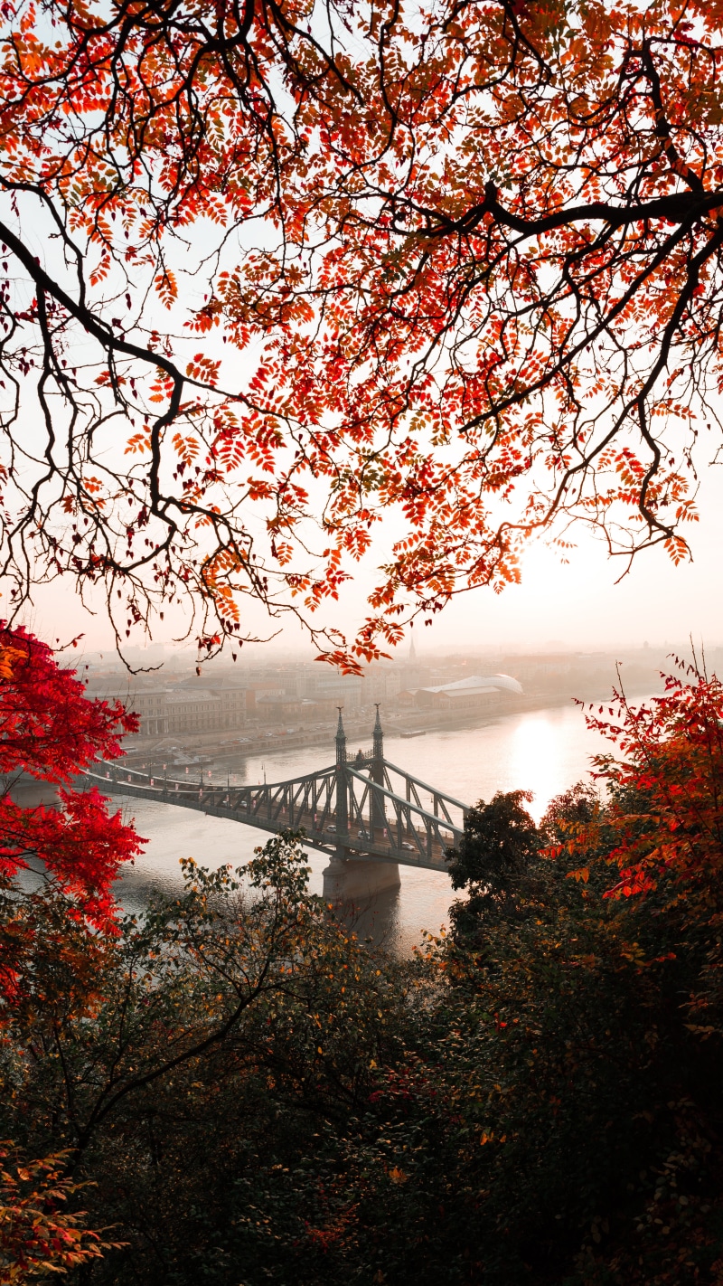 red, architecture, urban Skyline, tranquility, connection, new York City, budapest, built Structure, branch, leaf, cherry blossom, cityscape, scenics, outdoors