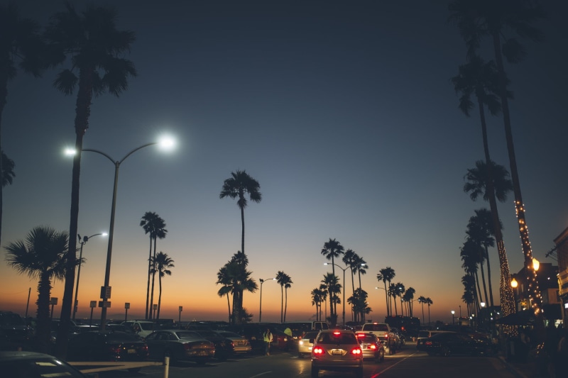 dusk, the city, california, tropical tree, 1080P, illuminated, the evening, transportation, tree, color, mode of transportation, tropical climate, no people