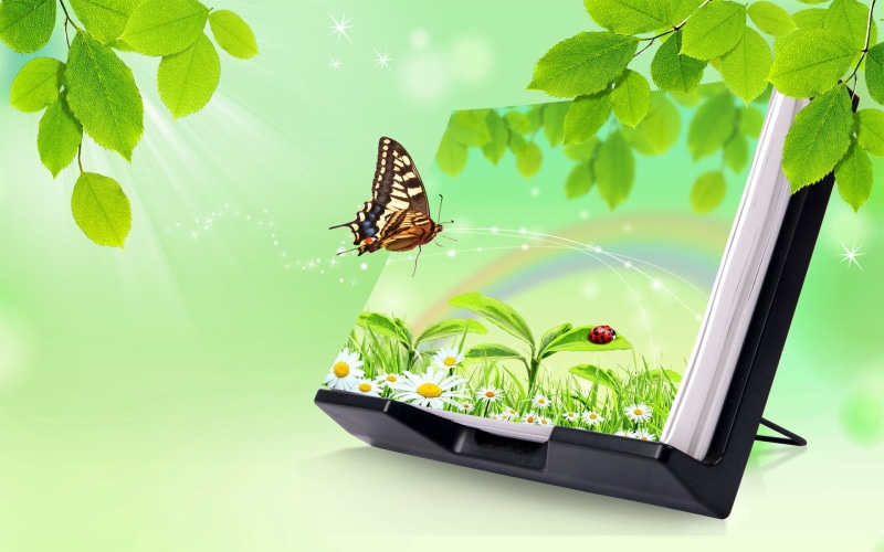 1080P, rainbow, Butterfly, digital, cg, digital art, spiring, d, Flowers, ladybug, spring, art, abstract, hd