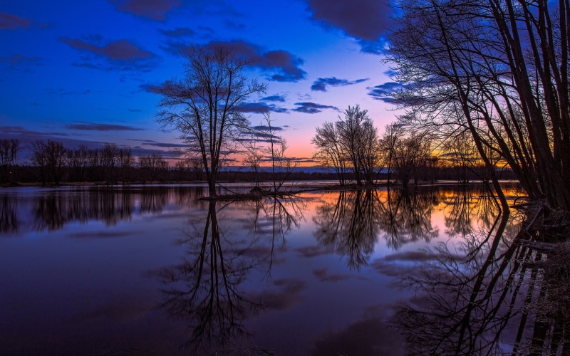 Ontario, 1080P, Reflection, Canada, Sunset, Lake, Scenery, Trees, Beautiful