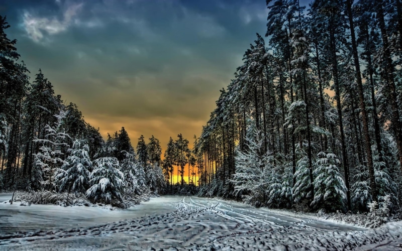 Sunset, 720P, Trails, Canada, Ontario, trees, winter, forest, snow, clouds