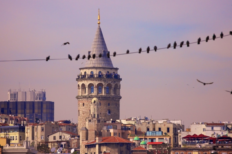 flock, architecture, city, istanbul, turkey, Birds, istanbul Turkey, Galata Tower, tower, galata, 1080P