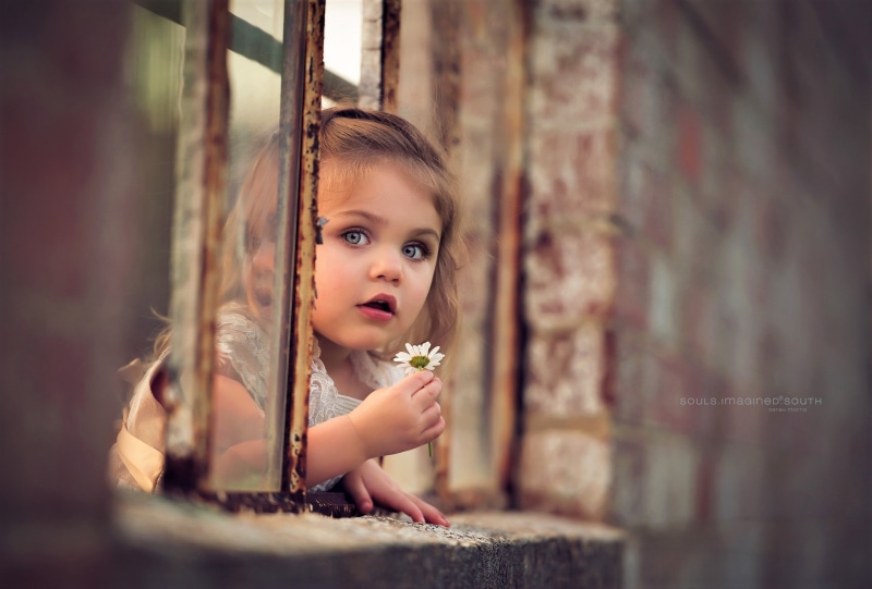 child, daisy, girl, adorable, little, blue, cute, eyes, flower, 1080P