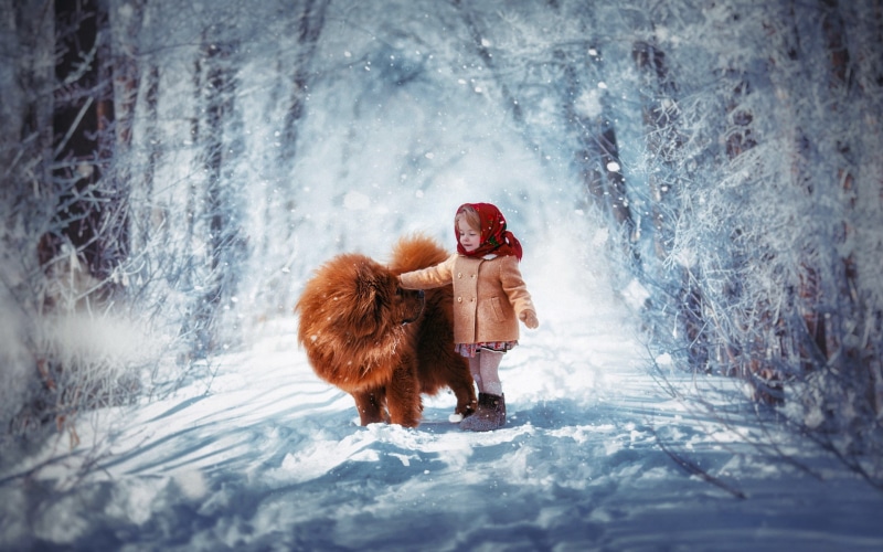 Snow, Child, Winter, Cute, Dog, Road, 1080P, Chow Chow, Little Girl, Photography