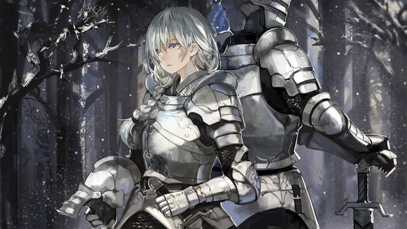 1080P, fantasy girl, white hair, gauntlets, knight, warrior, anime girls, braids, white eye, armor