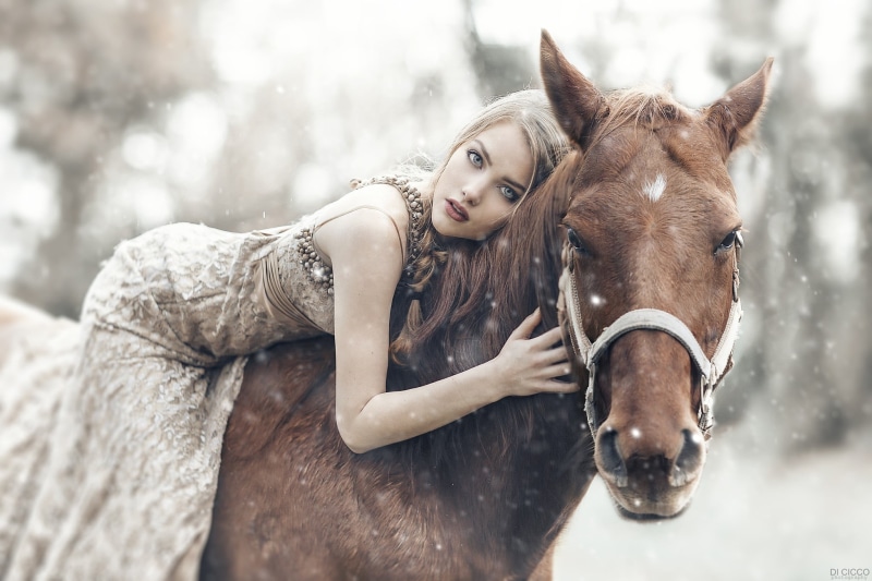 one person, beauty, dress, winter, domestic, domestic animals, mammal, 1080P, pets, portrait, teenager, livestock, riding, blue eyes, animal wildlife