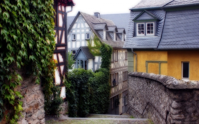 residential district, plants, gray, wall, growth, houe, window, outdoors, plant, street, orange, no people, day, house, roof, nature, built structure, tree