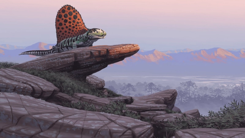 dinosaurs, human representation, creativity, tranquil scene, bed, art and craft, travel destinations, scenics - nature, no people, brown, sunset, craft