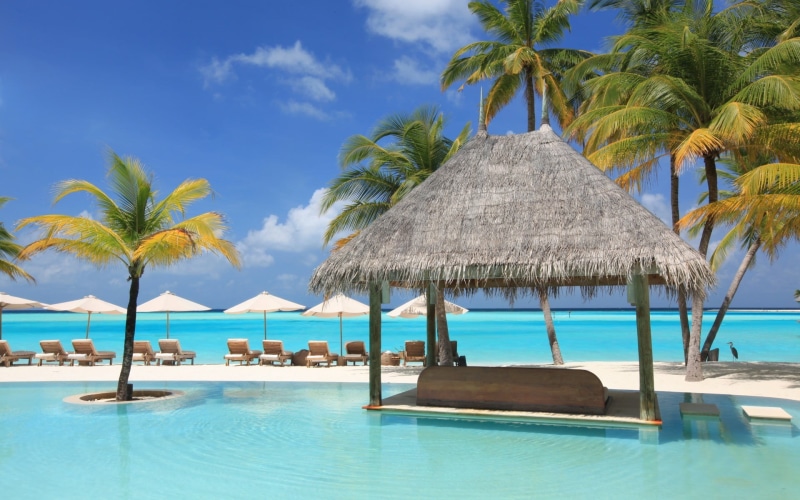 sky, tropical climate, tree, scenics - nature, sea, tahiti, trip, vacations, luxury, tourist resort, beauty in nature, land, palm trees, canopy, roof, 1080P