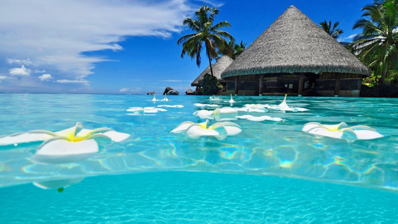 vacations, blue, mexico, turquoise colored, holiday, water, no people, tropical, beach, luxury, 4K, sky, hd, tourist resort, tree, travel destinations
