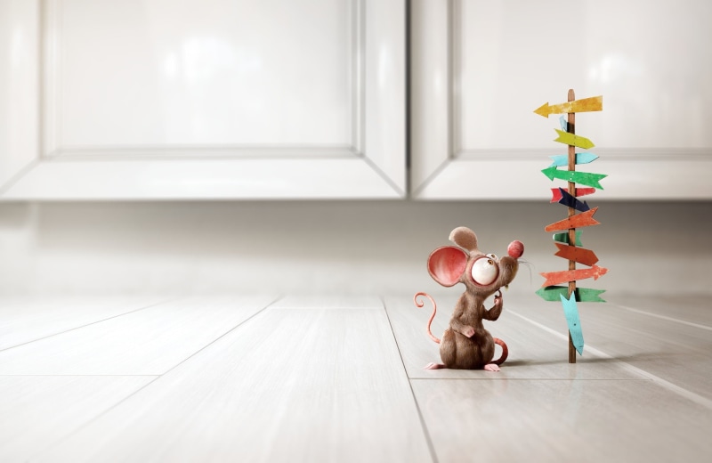 mouse, choice, 1080P, art, Bruno Tornisielo, minimalism, Little Rat, the situation
