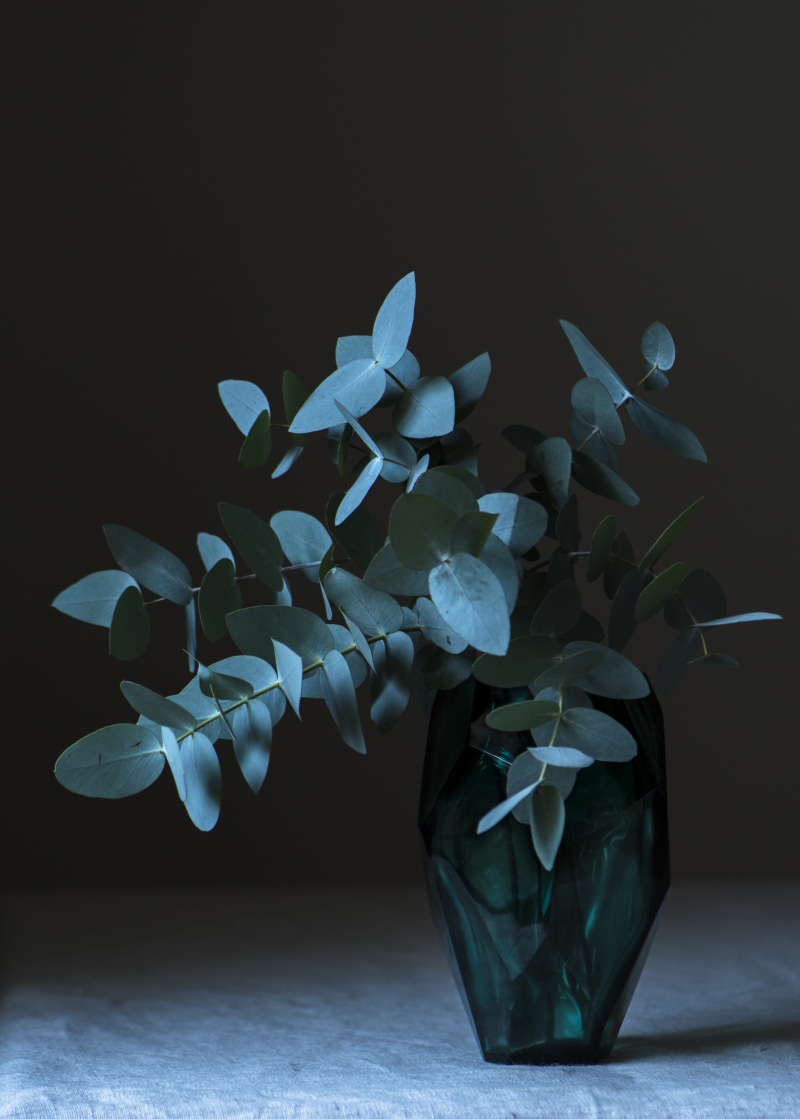 fragility, nature, vase, craft, 4K, white color, table, no people, macro, sharp, still life, close-up, indoors, black background, moody, leaf, plant part