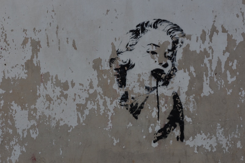 damaged, art and craft, creativity, backgrounds, built structure, grafitti, full frame, dirty, marilyn, wall - building feature, no people, close-up, bone