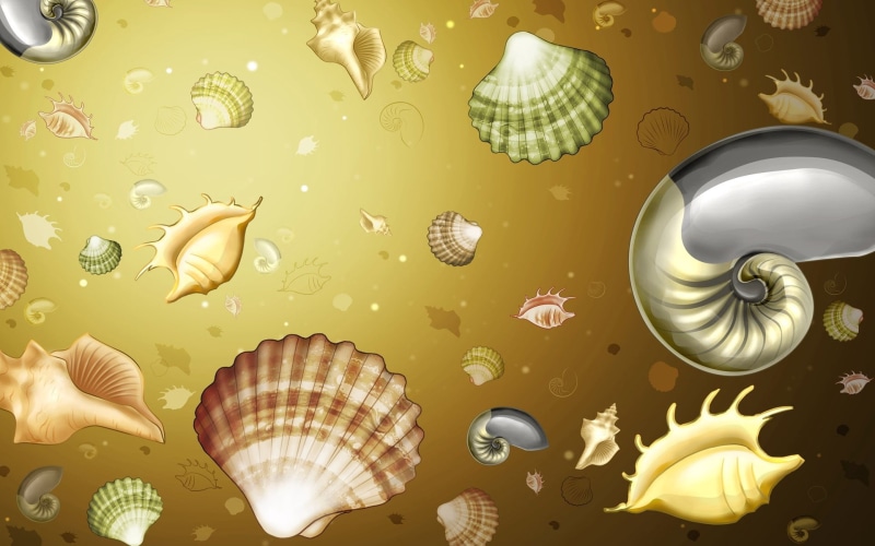 representation, vacations, gold colored, background, vector, starfish, digital, backgrounds, computer Graphic, seashell, beach, celebration, decoration