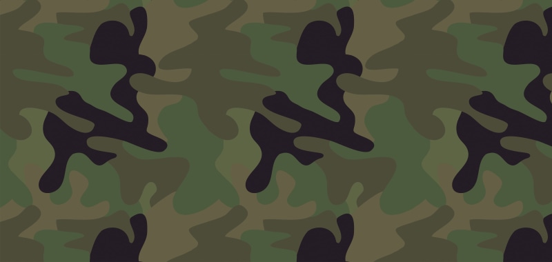 khaki, army, indoors, nature, abundance, black Color, design, focus on shadow, green color, 4K, wall - building feature, black, art and craft, shadow