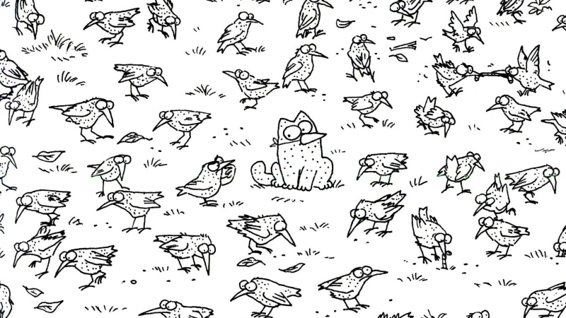 vector, season, no people, music, computer Graphic, nature, isolated, set, pattern, illustration, cat, land, white color, collection, point, animal, backgrounds