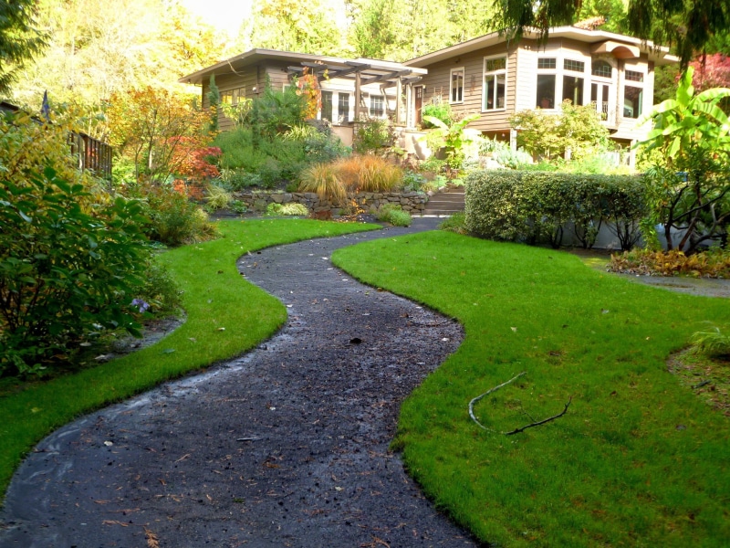 growth, home, winding, tree, built structure, plant, residence, walkway, summer, lawn, building exterior, residential District, gras, grass, residential Building