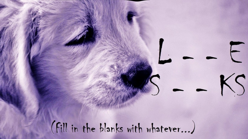 whatever, life, s, l, 1080P, ks, animals, e, love, fill