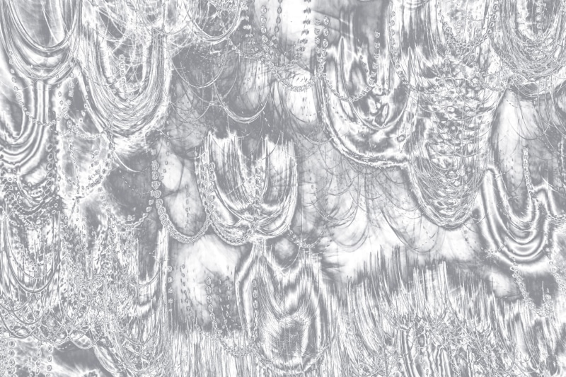 day, ice, food, pattern, plant, indoors, lace, art, transparent, fruit, floral design, full frame, snow, background, close-up, silvery whatever, nature
