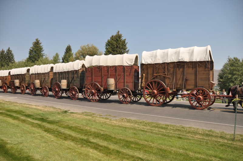 waggons, plant, built structure, cart, convoy, Western, nature, wild west, mode of transportation, wheel, land vehicle, transportation, rusty, Pioneers