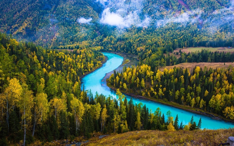 lake, wallpape, change, photo, day, water, pine tree, travel, kanas, no people, china, flowing water, non-urban scene, environment, tree, tranquil scene