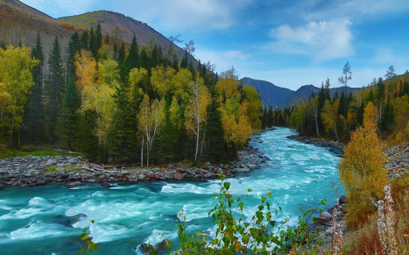 flowing water, day, tree, sky, green color, kanas, water, travel, plant, mountain, flowing, idyllic, beauty in nature, non-urban scene, hd, photo, tranquility