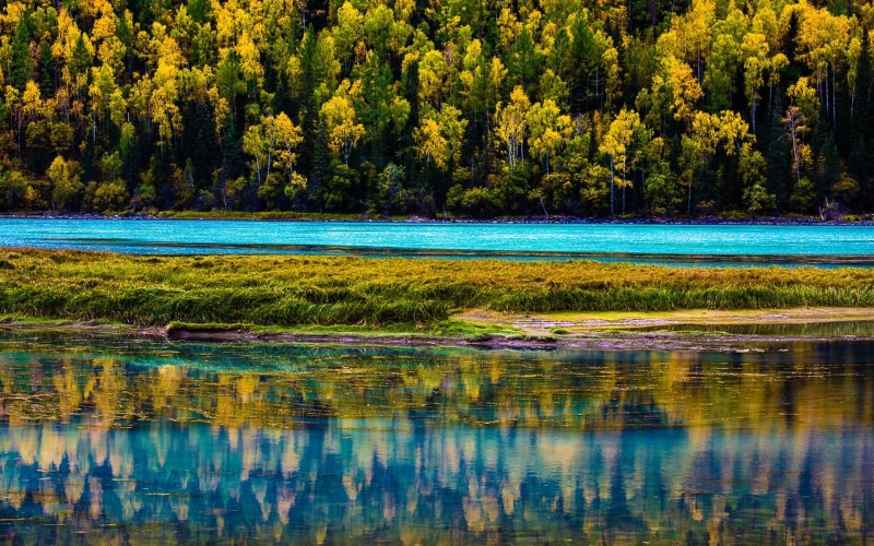 lake, scenics - nature, forest, photo, nature, beauty in nature, growth, china, tree, travel, no people, reflection, pine woodland, outdoors, green color