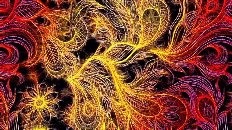 " feather of the Firebird", fractal picture, black background, abstraction, 1080P, screensaver on your desktop, fiery shades, fantasy