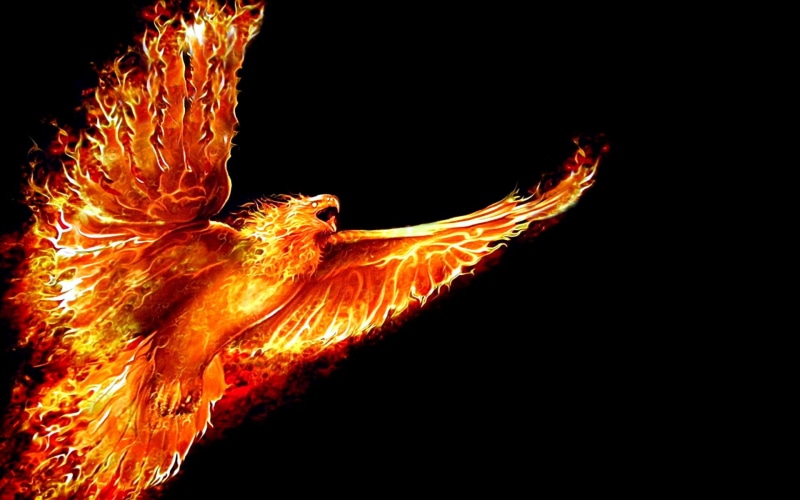 fenix, firebird, flight, fire, 1080P