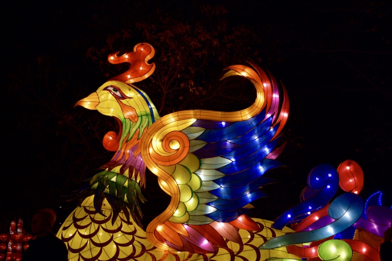 statue, glowing, decoration, chinese, show, black background, phoenix, illuminated, silk, color, creativity, animal representation, animal, arts culture and entertainment