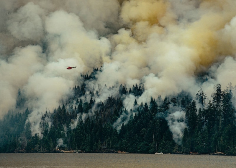 environmental damage, land, cloud - sky, plant, abstract, 480P, non-urban scene, painting, fire, no people, environment, beauty in nature, flying, power in nature