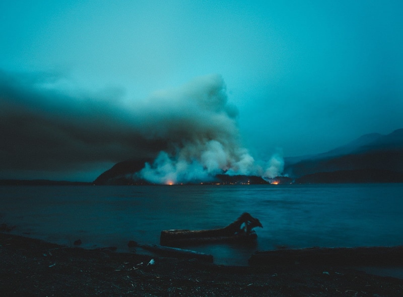 sea, 480P, nature, vintage, 1983, fire, forest, photography