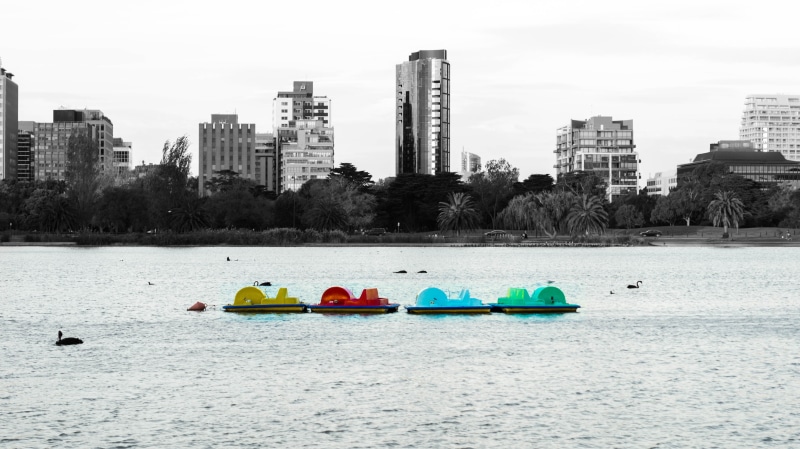 waterfront, melbourne, building exterior, lake, architecture, blue, green, color, 4K, paddle boat, boat, city, sport, albert park, built structure, paddle