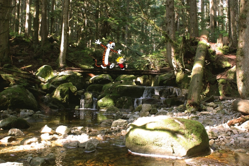 comics, river, beauty in nature, Calvin y Hobbes, day, flowing water, growth, leisure activity, tree, nature, rock, 2K, water, plant, stream - flowing water