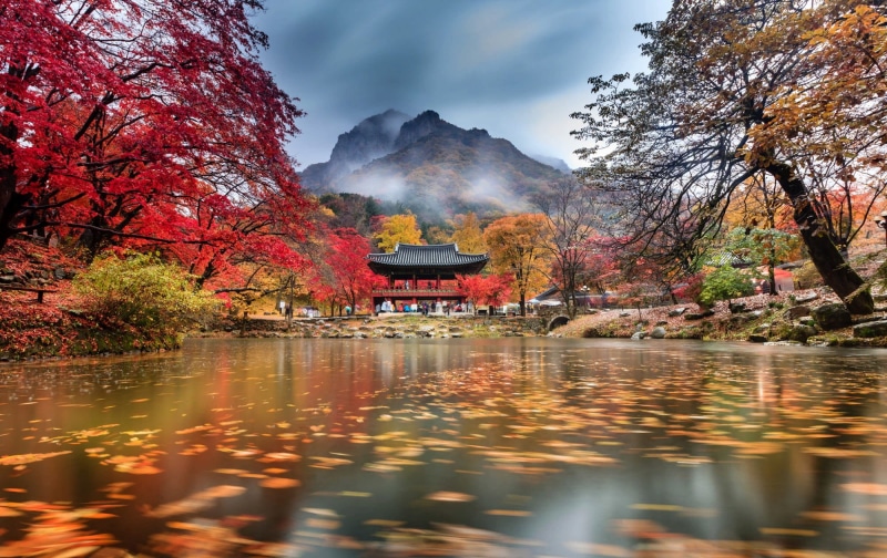 fog, clouds, 1080P, mountains, South Korea, autumn, pond, temple, Baegyangsa, trees, Park, Naejangsan