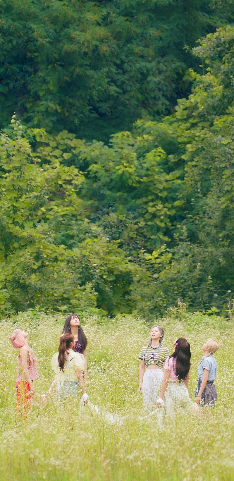 Wang Yiren, K-pop, Sihyeon (Kim Sihyeon), Mia (Han Eunji), South Korea, Onda (Jo Serim), 1080P, Aisha (Heo Yoorim), E:U (Park Jiwon), EVERGLOW