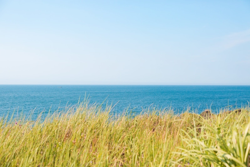 jejudo, day, horizon over water, water, korea, grass, clear sky, jeju island, sea, land, marram grass, sky, beach, scenics - nature, tranquility, no people