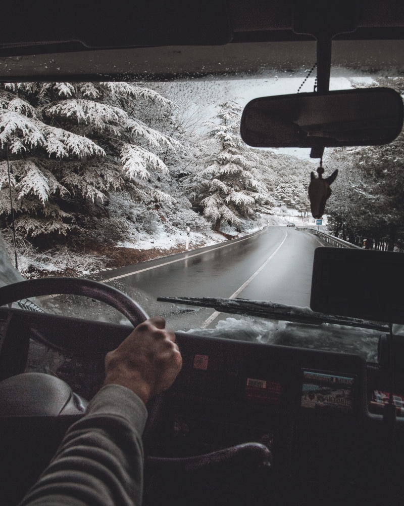nomad, steering wheel, human, motor vehicle, human hand, 4K, men, person, electronics, windshield, van, winding, vehicle, pines, nature, machine, car mirror