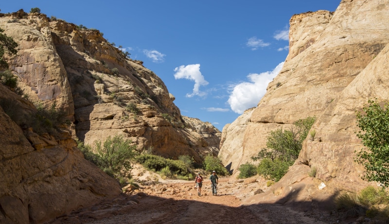 rock formation, physical geography, capitol gorge, nature, active, scenics - nature, rock, people, land, trail, cliffs, trekking, mountain range, solid