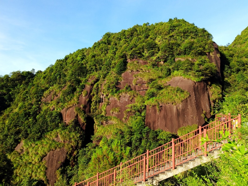 beauty in nature, rock, tranquil scene, railing, green color, tree, scenics - nature, plant, land, kowloon hole, day, tranquility, boundary, non-urban scene