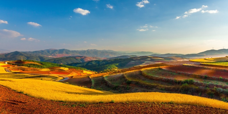 field, landscape, 1080P, China, yunnan (china)