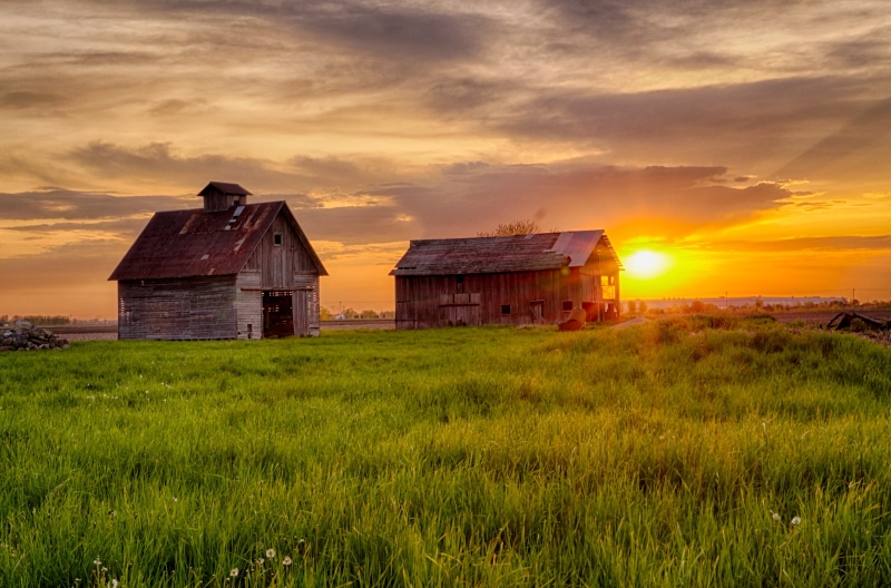 Sunrise, brown house, green field, sunset, photographing, Sony Alpha, outdoors, scene, agriculture, nature, two, golden hour, white, green, HDR, Crib, rural Scene