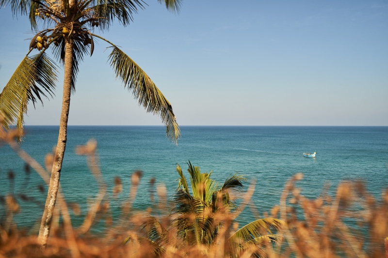 palm tree, blue water, kerala, tranquility, tropical climate, water, sky, palm leaf, sea, scenics - nature, boat, no people, idyllic, nature, coconut palm tree