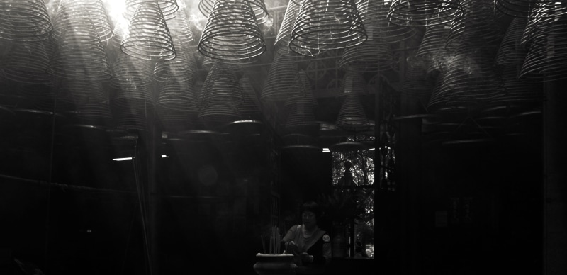 hong kong, yau ma tei, abundance, architecture, market, glass - material, night, travel, retail, no people, plant, illuminated, b/w, built structure, business