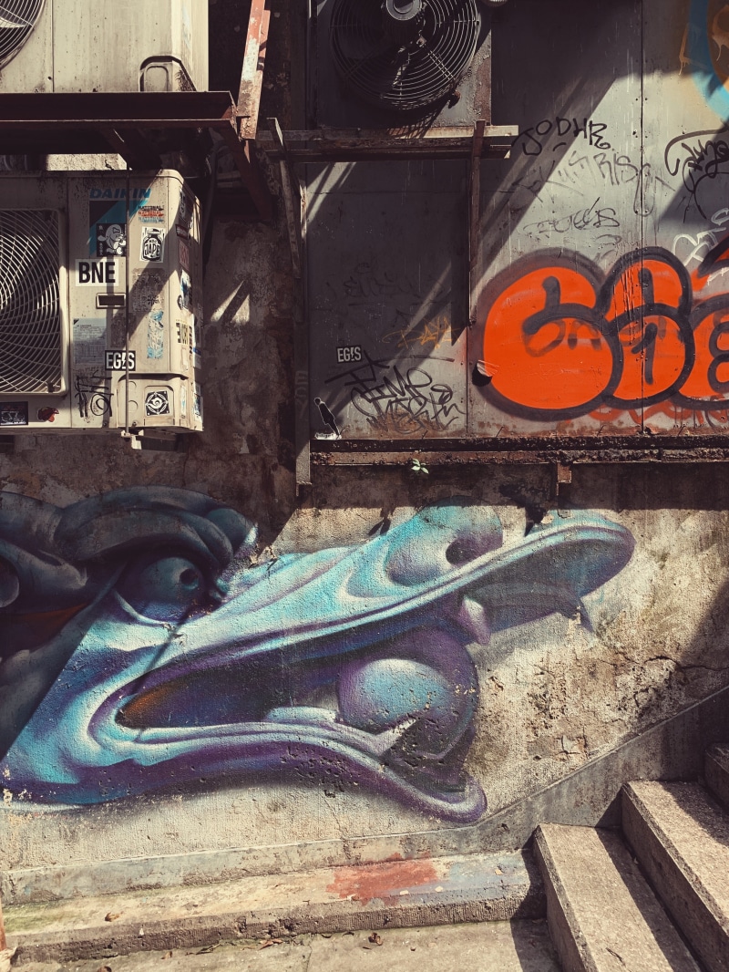 art and craft, mammal, wing yau house, mode of transportation, leisure activities, text, no people, iguana, graffiti, drawing, architecture, painting, animal