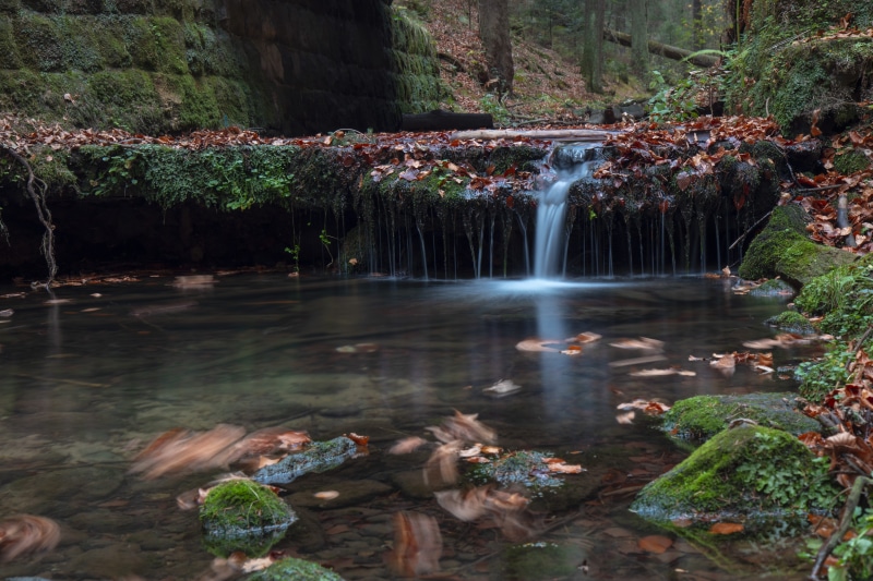 säsische switzerland, outdoors, power in nature, beauty in nature, 5K, falling water, no people, nature, tree, scenics - nature, motion, solid, rainforest