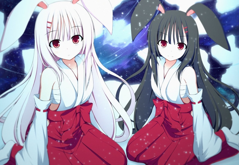 clothes, japanese, mizuki, 720P, bunny, hair, eyes, red, animal, girls, (kogetsu-tei), long, white, sarashi, ears, black, original