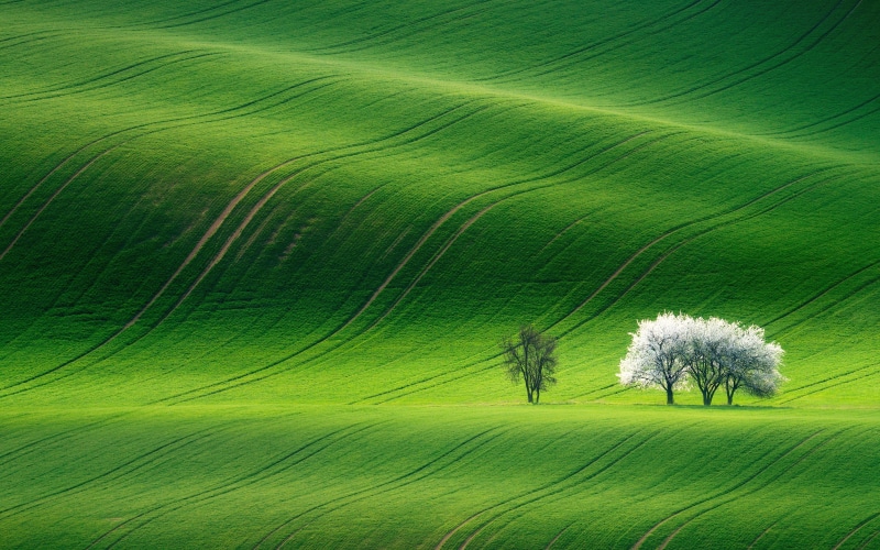 8k, 2K, 4k, HD, Green Landscape, wallapers